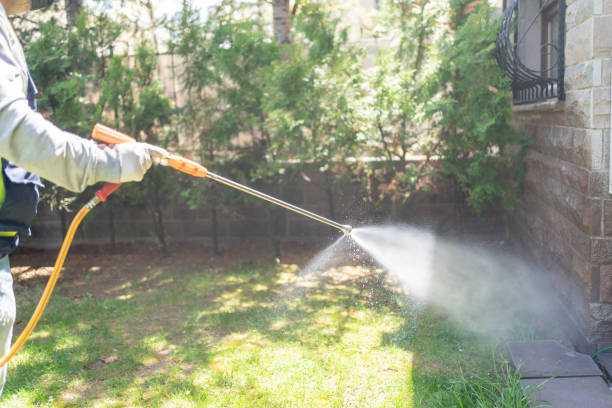 Best Affordable Pest Control Services  in Julesburg, CO