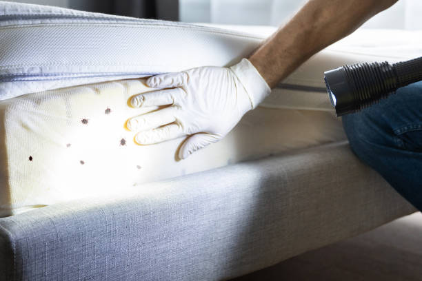 Best Best Pest Control Companies  in Julesburg, CO