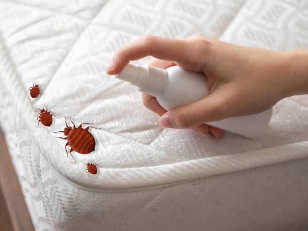 Professional Pest Control in Julesburg, CO